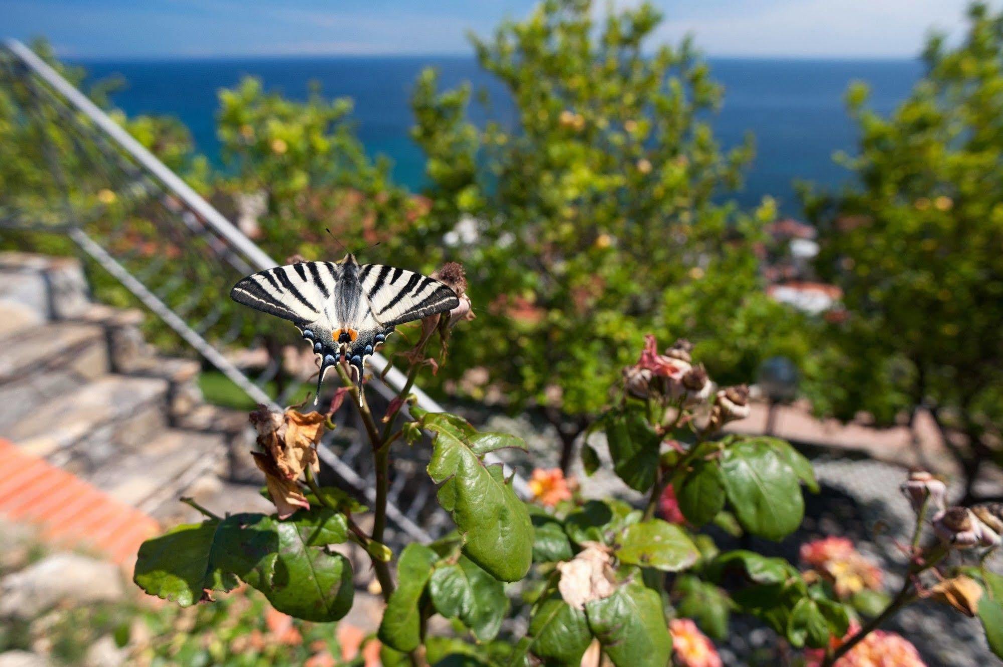 Le Terrazze Appartamenti Vacanze San Remo Kültér fotó